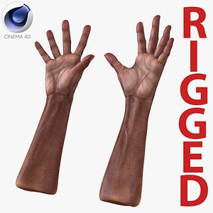 Old African Man Hands 2 Rigged for Cinema 4D