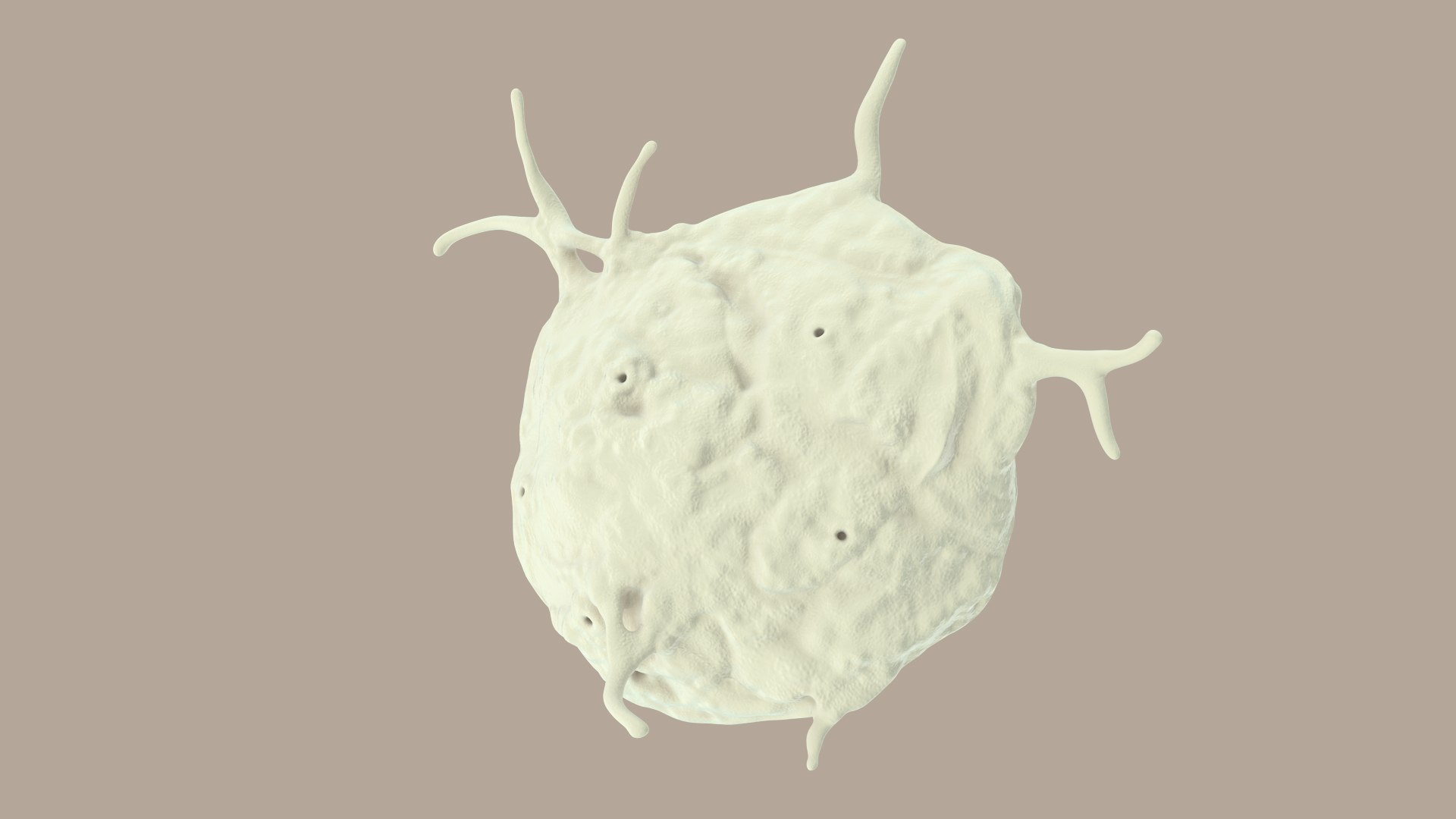 3D platelet blood cell - TurboSquid 1537151