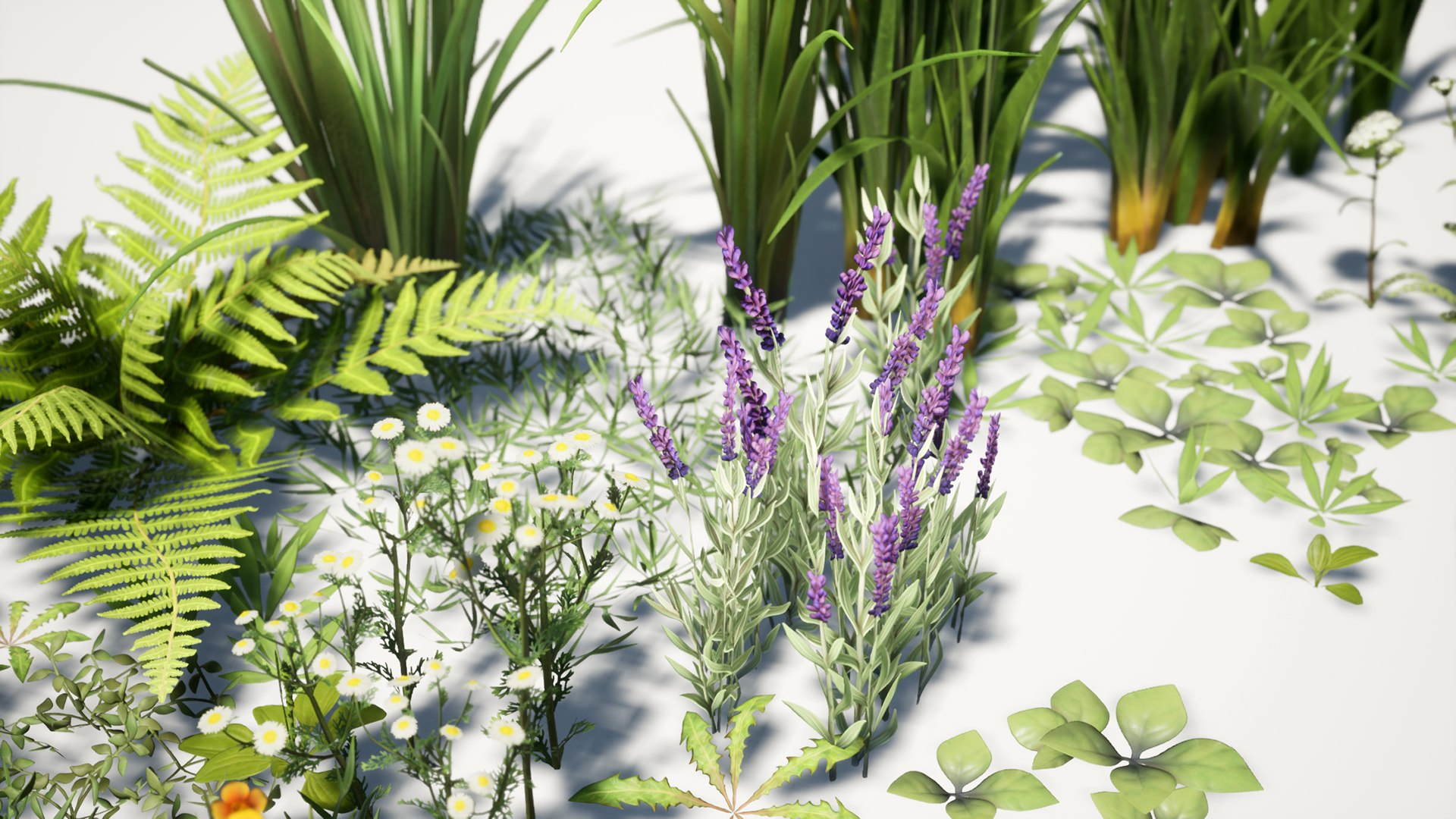 Grass Field Pack 3D model https://p.turbosquid.com/ts-thumb/29/s3fcMr/9P/highresscreenshot00001copy/png/1653727398/1920x1080/fit_q87/4cecdbce452fcda62751d37d6950c251d1c85249/highresscreenshot00001copy.jpg
