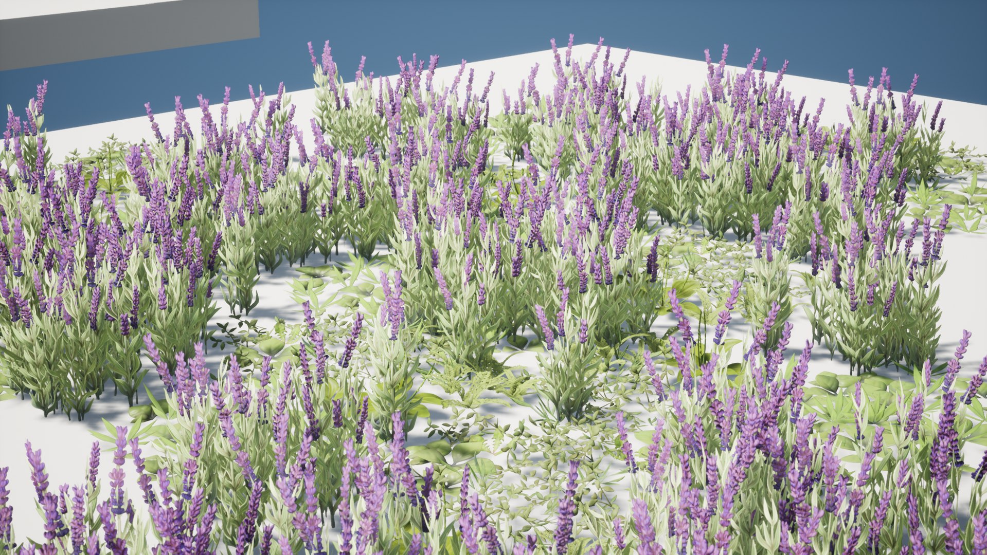 Grass Field Pack 3D model https://p.turbosquid.com/ts-thumb/29/s3fcMr/VC/highresscreenshot00008/png/1653727426/1920x1080/fit_q87/b2d6fedf323f257f301a647bf915aaafd0c32d81/highresscreenshot00008.jpg