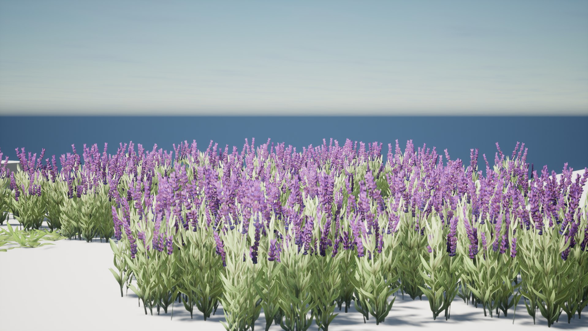 Grass Field Pack 3D model https://p.turbosquid.com/ts-thumb/29/s3fcMr/dN/highresscreenshot00007/png/1653727411/1920x1080/fit_q87/49d131aaf985e2148bd51c4ac9b4f4bbf6b44ee9/highresscreenshot00007.jpg