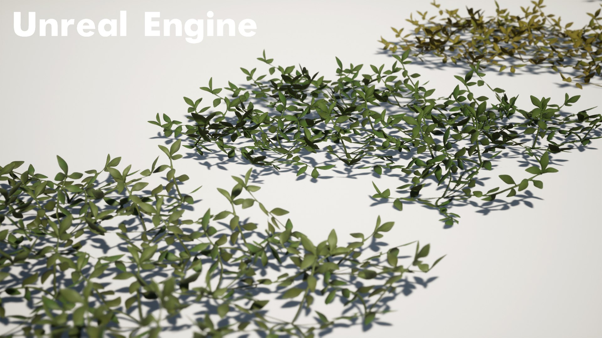 Grass Field Pack 3D model https://p.turbosquid.com/ts-thumb/29/s3fcMr/yQ/ss/jpg/1635271975/1920x1080/fit_q87/b4a3e572d23ab26d4e15f5ae617f921fa67dba95/ss.jpg