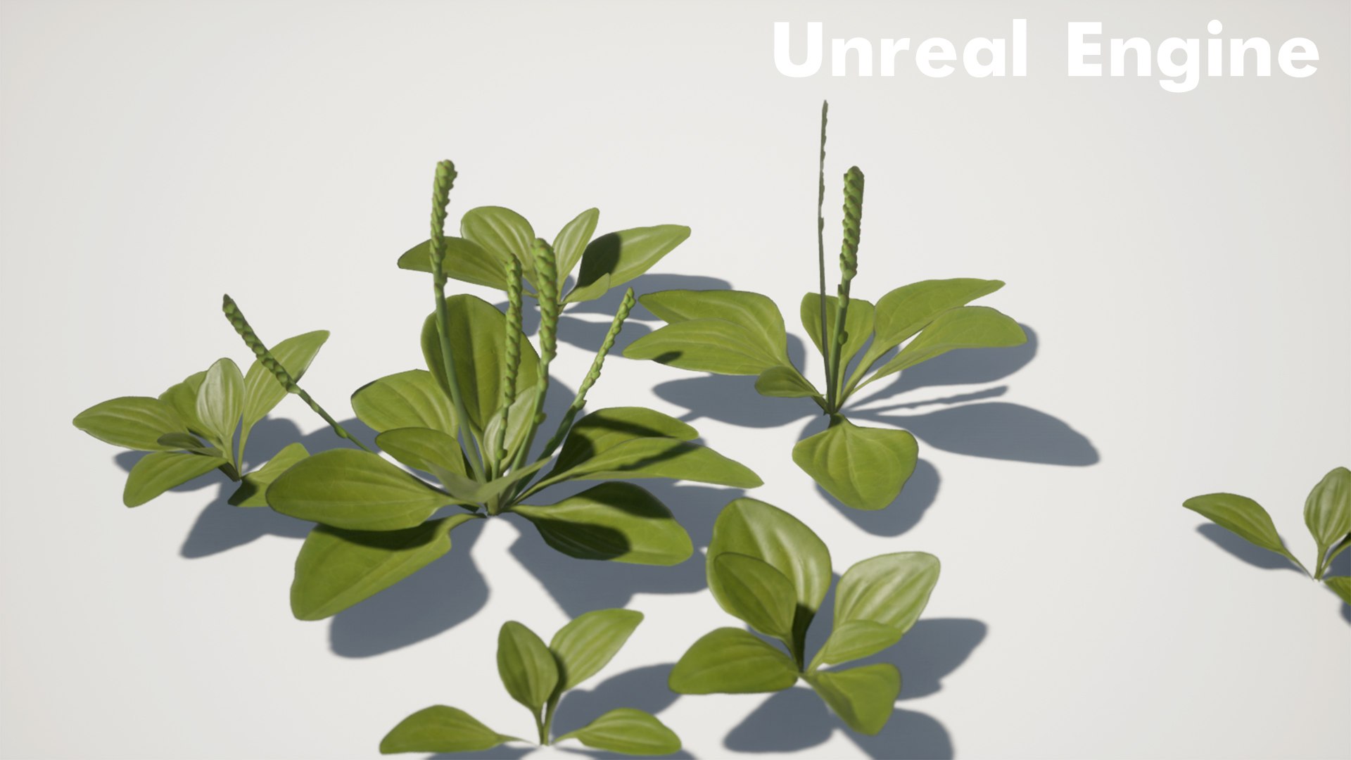 Grass Field Pack 3D model https://p.turbosquid.com/ts-thumb/29/s3fcMr/zC/highresscreenshot00002copy/jpg/1653727393/1920x1080/fit_q87/7b75abb6a683cb7e8b585da7d81a7e1be466015e/highresscreenshot00002copy.jpg