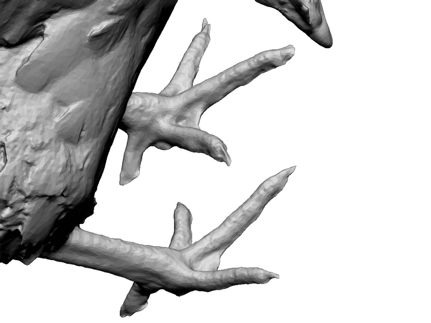 3D model real chicken scanned https://p.turbosquid.com/ts-thumb/2A/0Febrk/12YKS8lp/09/jpg/1552567065/1920x1080/fit_q87/83ef17101c9bae36096670d1c482d4b960c6b10f/09.jpg