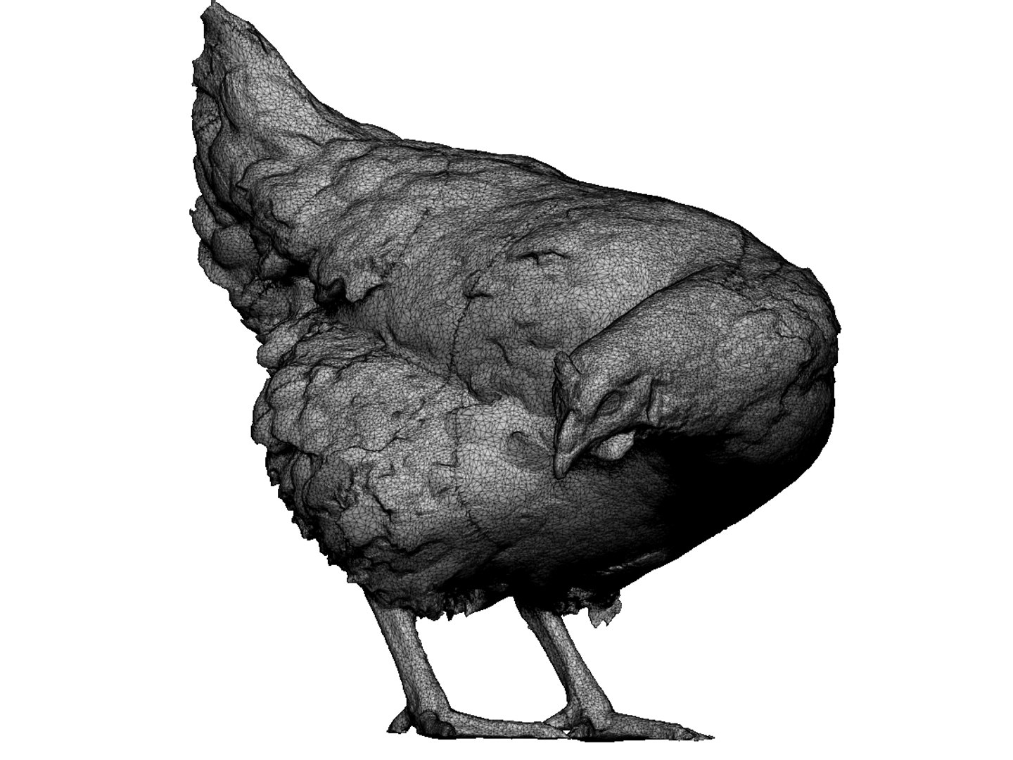 3D model real chicken scanned https://p.turbosquid.com/ts-thumb/2A/0Febrk/HiI4bUnL/10/jpg/1552567074/1920x1080/fit_q87/ff0ab7e352af30bc67357d6ae6d2e6889f3b8d26/10.jpg