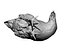 Real Chicken 05 - 3d scan