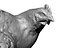 Real Chicken 05 - 3d scan