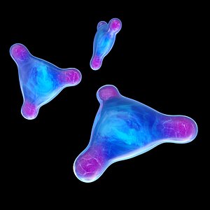 Cell