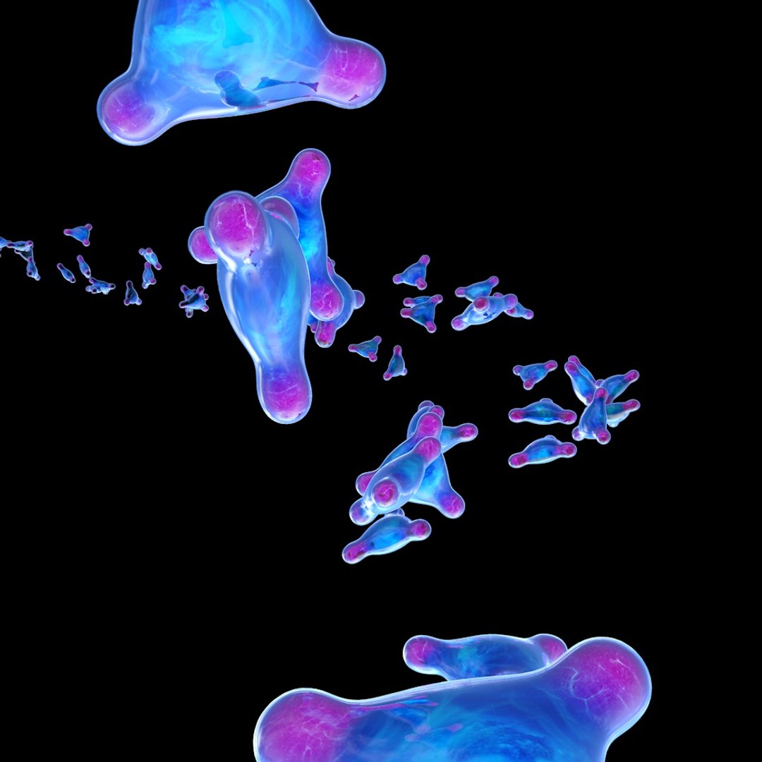free obj mode cell https://p.turbosquid.com/ts-thumb/2A/3hqL0r/lCGVvfoL/2/jpg/1430511763/1920x1080/fit_q87/d932fc60fb291903cd60a7c61ab10e966efbd831/2.jpg