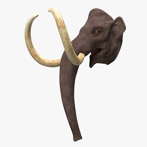 3D Mammoth Adult Head model