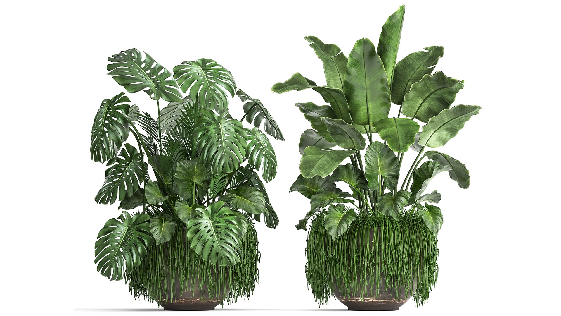 Houseplants in a flowerpot for the interior 962 3D model https://p.turbosquid.com/ts-thumb/2A/ECVRly/85/1plants0805202102/jpg/1620648234/1920x1080/fit_q87/9cc6f96499e66f76b8e6c86bffdc3da335c4daec/1plants0805202102.jpg