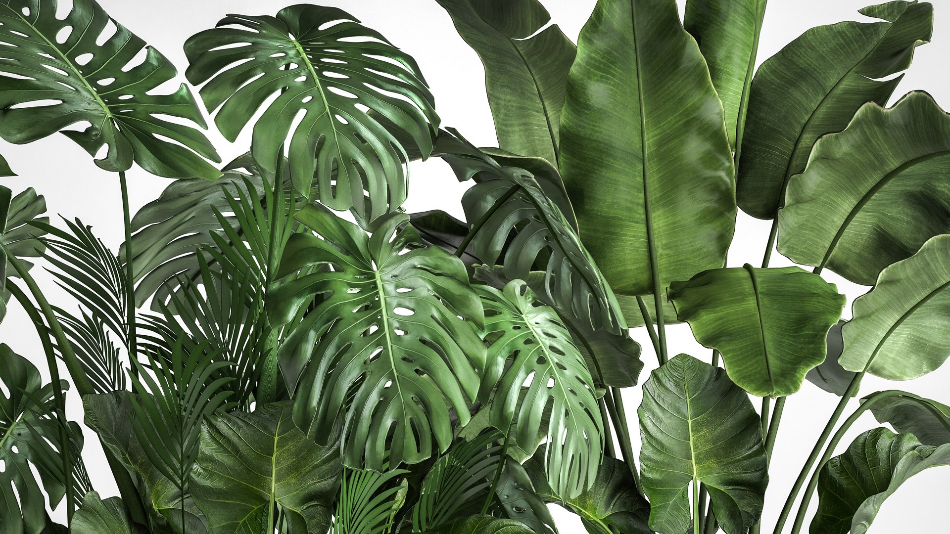 Houseplants in a flowerpot for the interior 962 3D model https://p.turbosquid.com/ts-thumb/2A/ECVRly/Cu/1plants0805202105/jpg/1620648229/1920x1080/fit_q87/c704d498d80ab301a481e5227f4ca5adc0edcf05/1plants0805202105.jpg