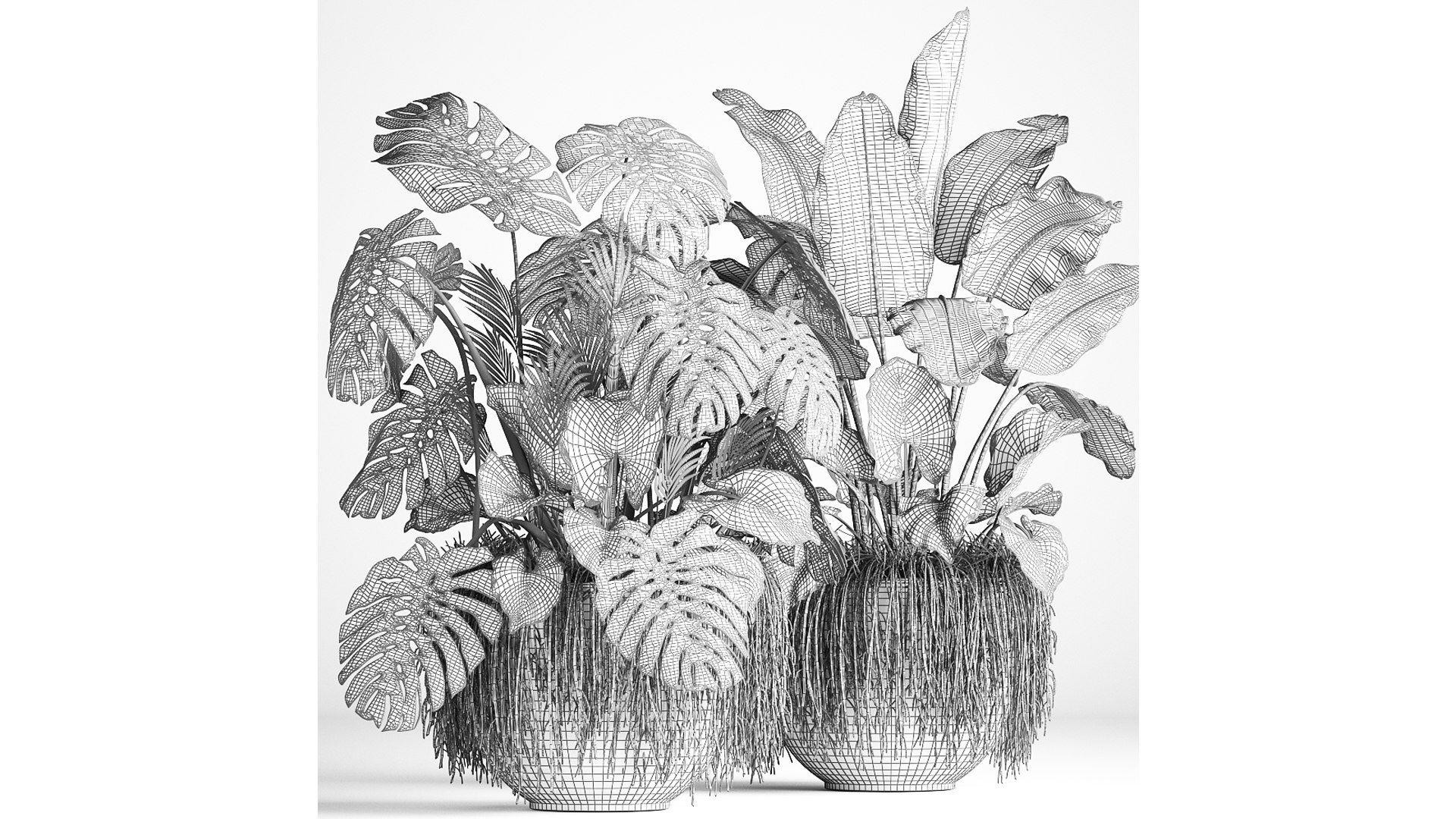 Houseplants in a flowerpot for the interior 962 3D model https://p.turbosquid.com/ts-thumb/2A/ECVRly/KD/1plants0805202109/jpg/1620648227/1920x1080/fit_q87/ad65f7bf65f796c84a7883cb669a10f1b1f2cc70/1plants0805202109.jpg
