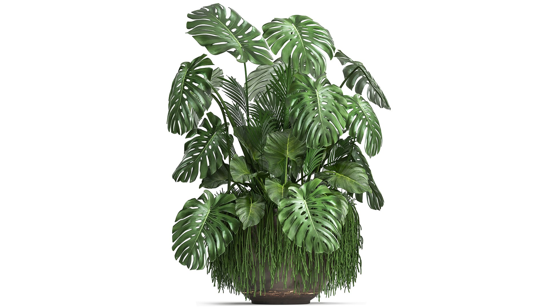 Houseplants in a flowerpot for the interior 962 3D model https://p.turbosquid.com/ts-thumb/2A/ECVRly/MP/1plants0805202104/jpg/1620648227/1920x1080/fit_q87/0f7fc26648b4ef993542c2bf1c747a6852ae6080/1plants0805202104.jpg
