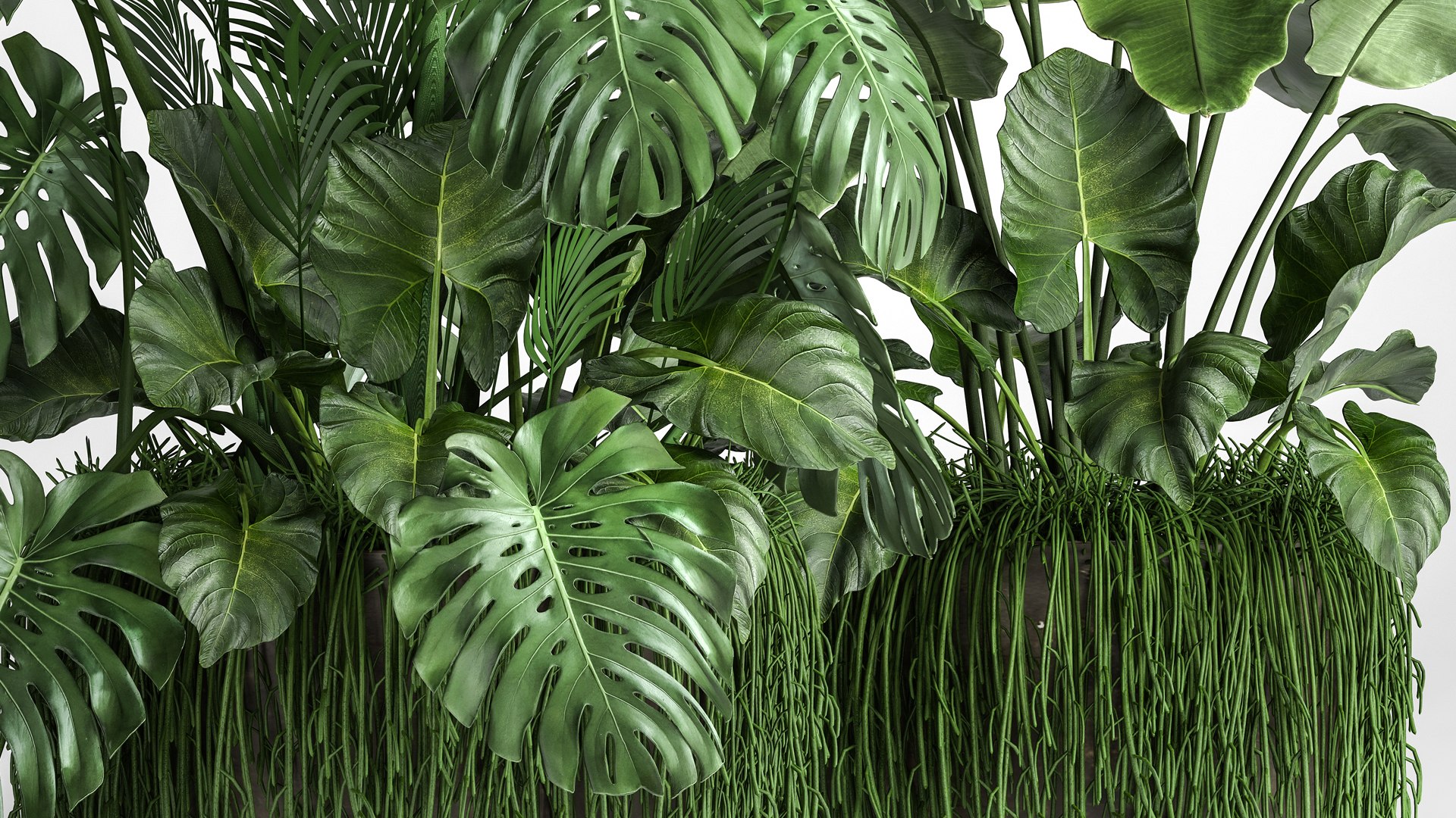 Houseplants in a flowerpot for the interior 962 3D model https://p.turbosquid.com/ts-thumb/2A/ECVRly/bN/1plants0805202106/jpg/1620648244/1920x1080/fit_q87/97ebe262e951a29e7c6160511a77014ab9e405da/1plants0805202106.jpg