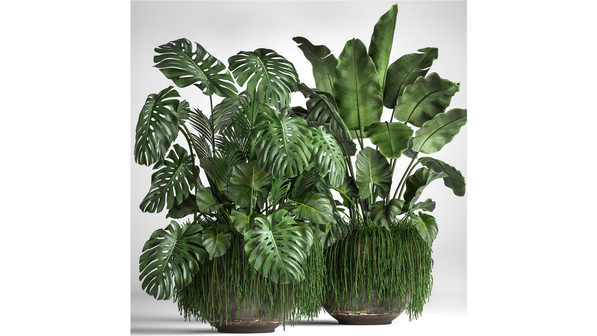 Houseplants in a flowerpot for the interior 962 3D model https://p.turbosquid.com/ts-thumb/2A/ECVRly/lo/1plants0805202101/jpg/1620648227/1920x1080/fit_q87/030a34679f0421d88248ddd4005b4f2e954f90c0/1plants0805202101.jpg