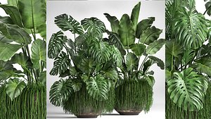 Houseplants in a flowerpot for the interior 962 3D model