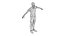Tijeras Ejercicio hombre Animación
