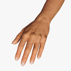 3D REALISTIC FEMALE ARM RIGGED model