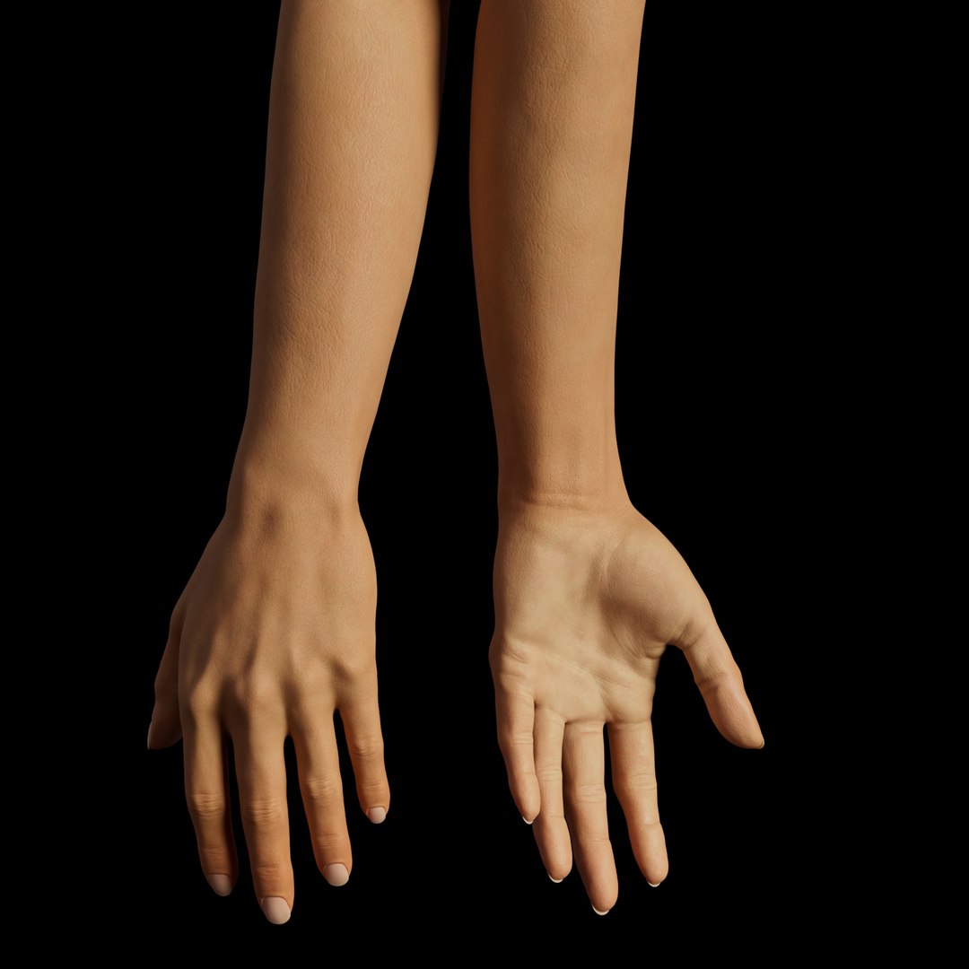3D REALISTIC FEMALE ARM RIGGED Model - TurboSquid 2306349