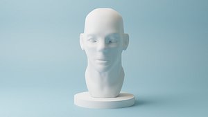 3D Male Head model