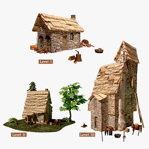 3D fantasy medieval house