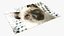 Puzzle 48 pezzi