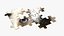 Puzzle 48 pezzi