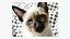 Puzzle 48 pezzi