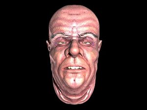 Animated male head