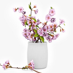 Cherry Blossom 3D model