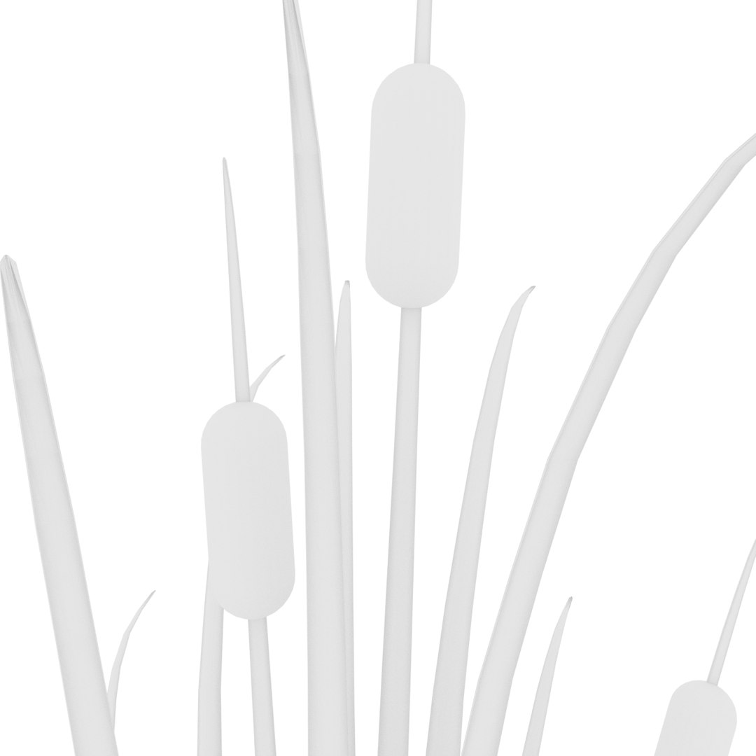 Reed Grass Model - TurboSquid 1198672
