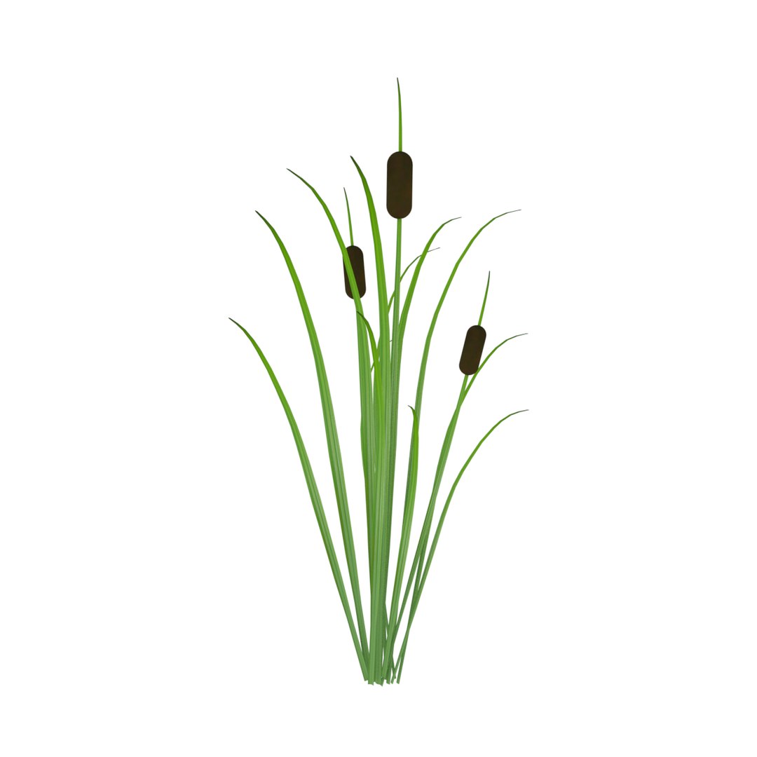 Reed Grass Model - TurboSquid 1198672