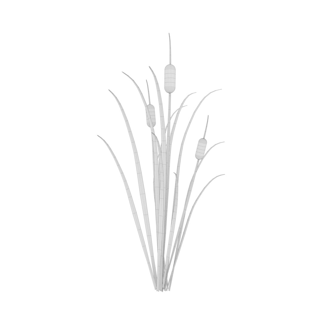 Reed Grass Model - TurboSquid 1198672