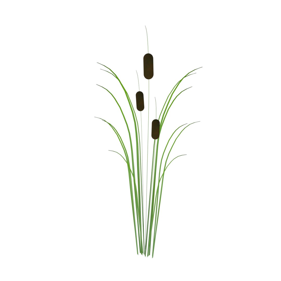 Reed Grass Model - TurboSquid 1198672