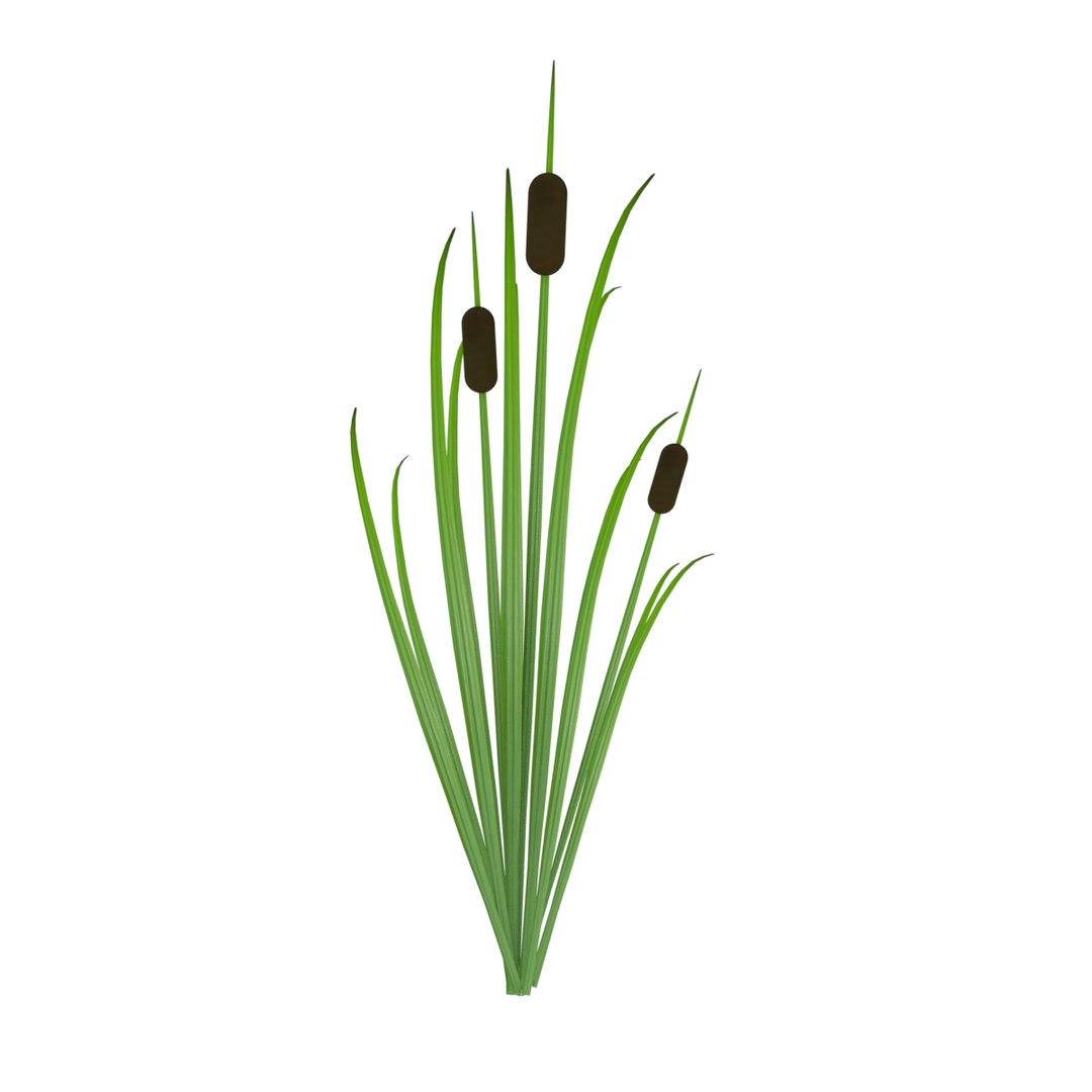 Reed Grass Model - TurboSquid 1198672