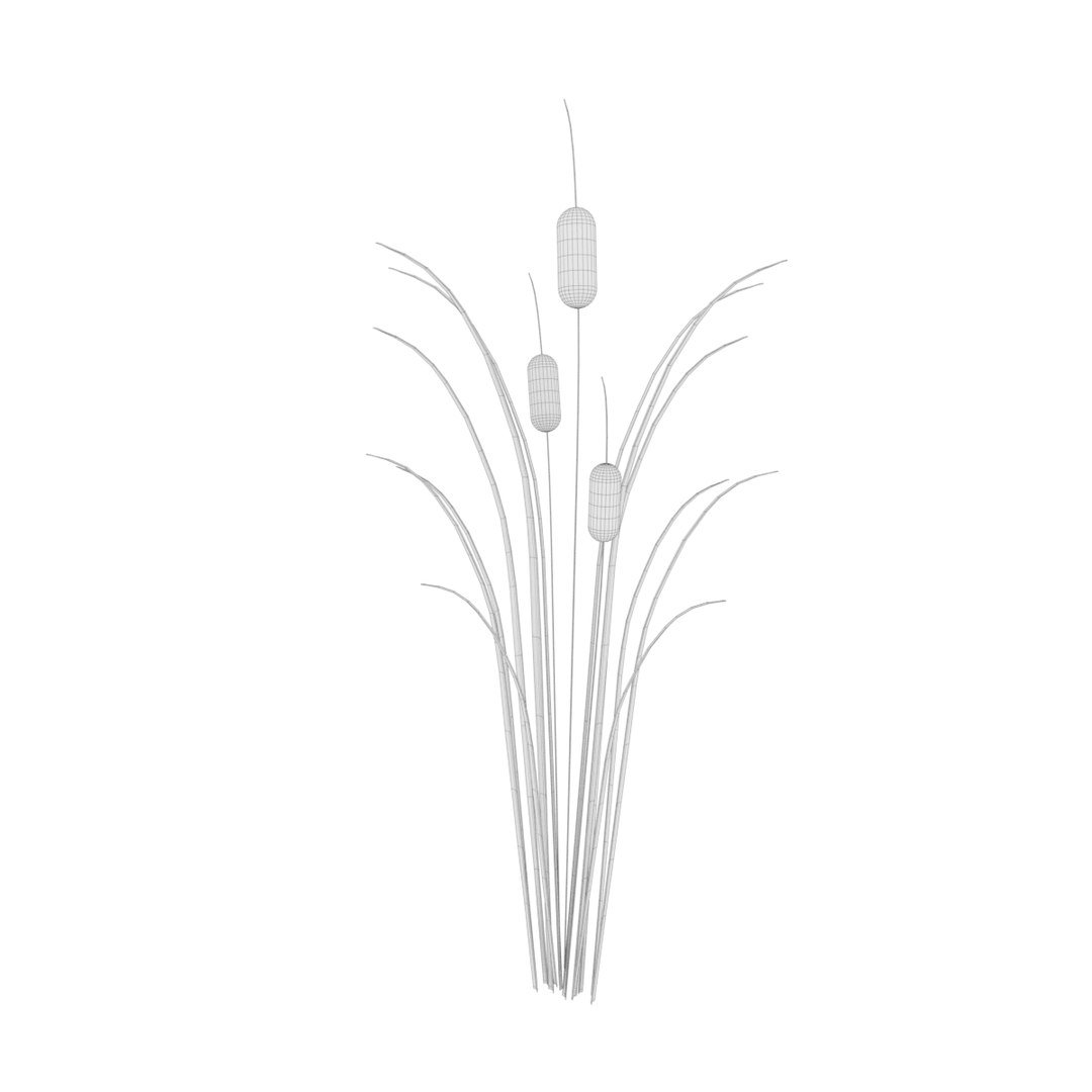 Reed Grass Model - TurboSquid 1198672