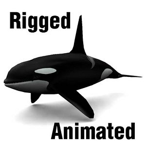 Killer Whale