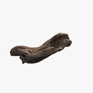 3D Anydrafts Log 18 model