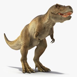 Animated Tyrannosaurus Rex Waiking Rigged for Cinema 4D
