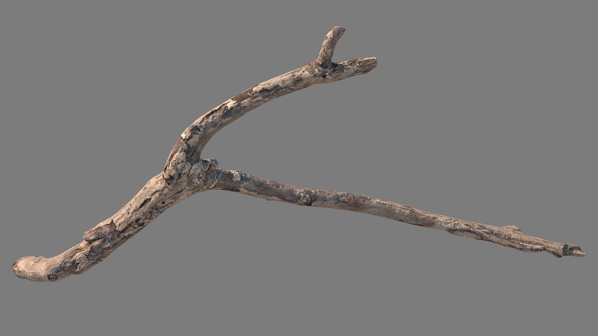 Twig Scanned 07 3D - TurboSquid 2088908