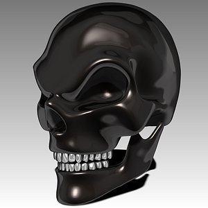 3d skull model