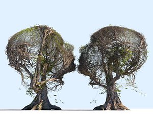 tree head hd 3D model