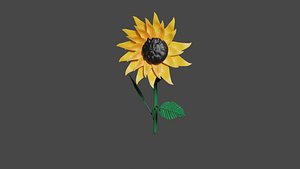 sunflower flower 3D model