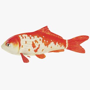 3ds koi carp