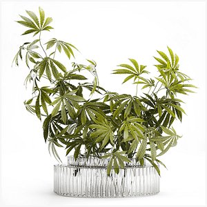 Modern Flower Bouquet Green Branches Cannabis Bush 609 3D