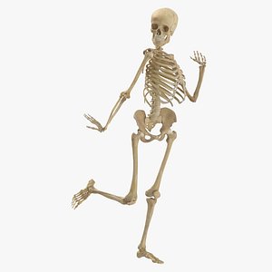 Real Human Female Skeleton Pose 92(1) 3D