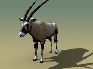Oryx_maya