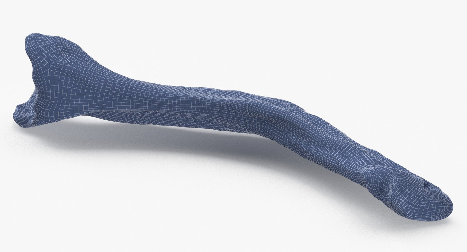Domestic Dog Hyoid Apparatus Stylohyoid Bone 01 3D Model - TurboSquid ...