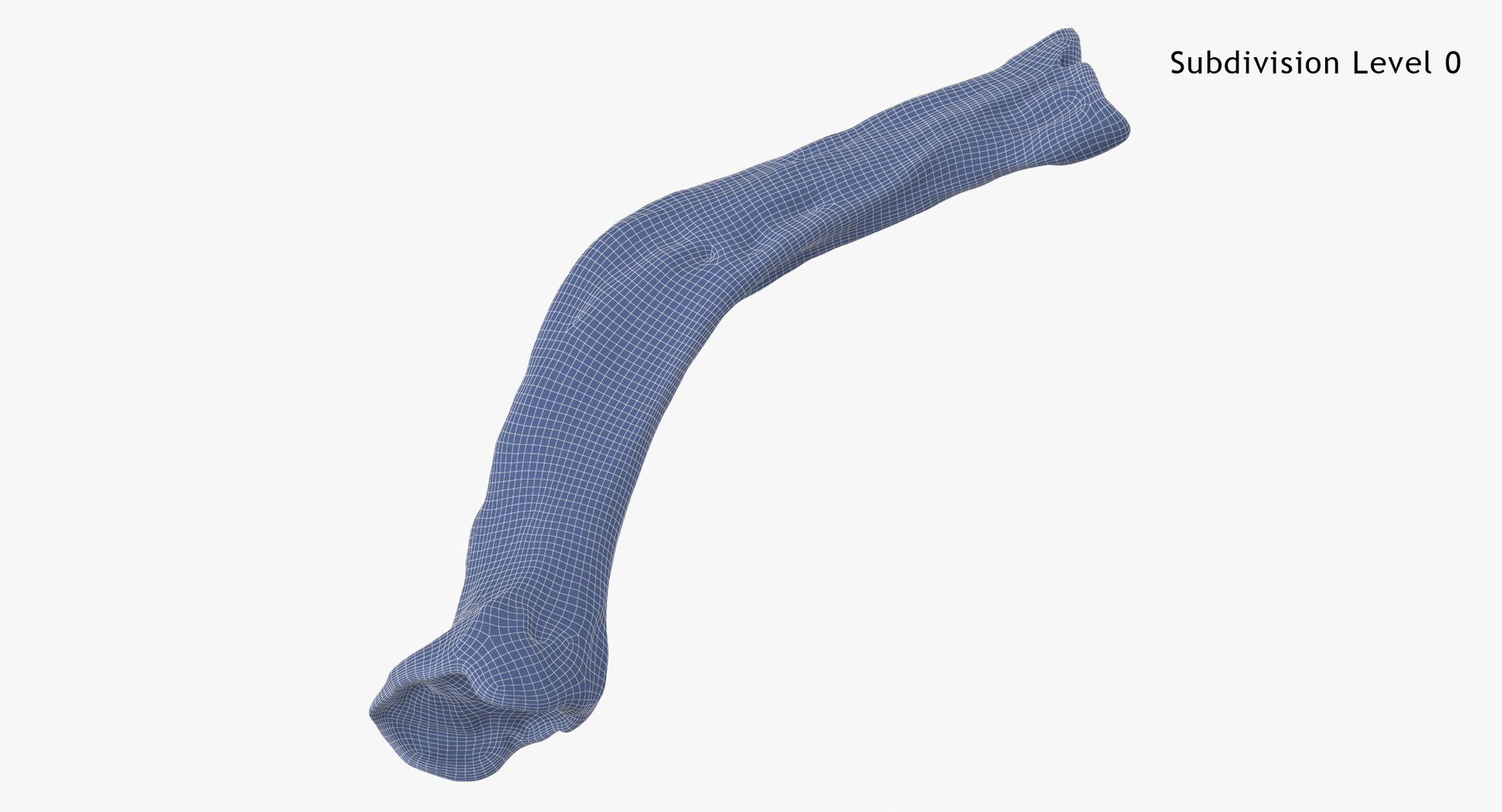 Image showcasing Domestic Dog Hyoid Apparatus Stylohyoid Bone 01 3D model - TurboSquid 2122403